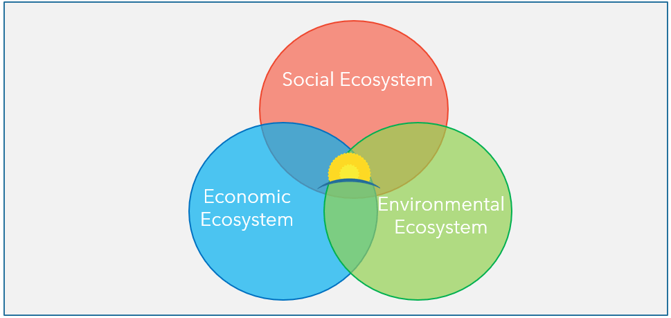 Renaissance Sri Lanka has a holistic approach in building thriving ecosystems. © Renaissance Sri Lanka