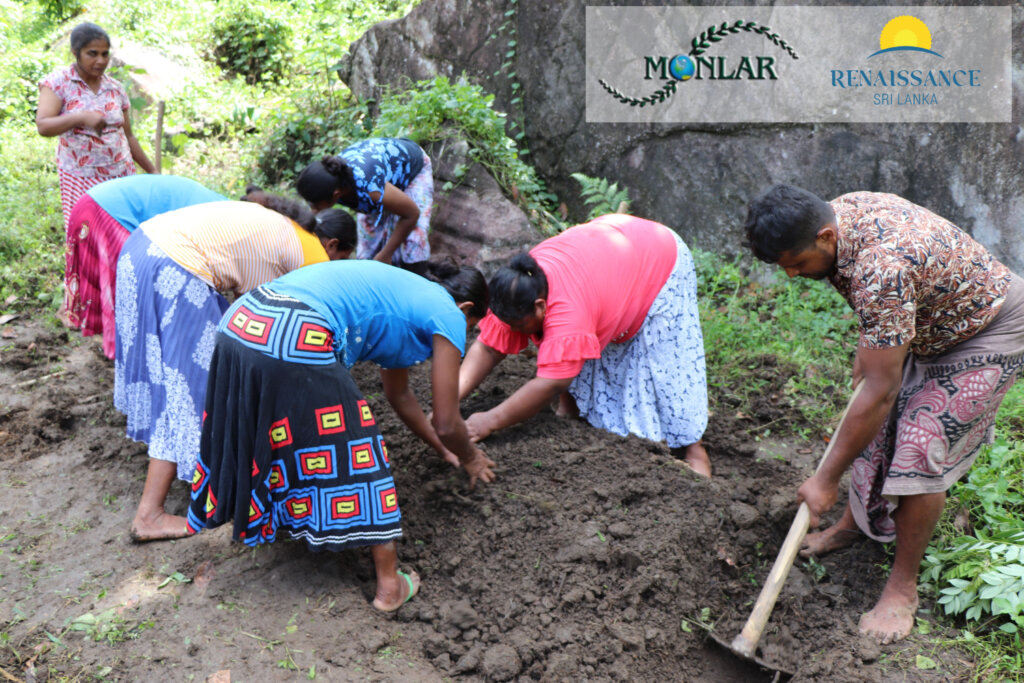 See in action, the initiative of our partner, Movement for Land and Agricultural Reform that uses their expertise in agroecology to empower women by training them in eco-friendly organic farming.