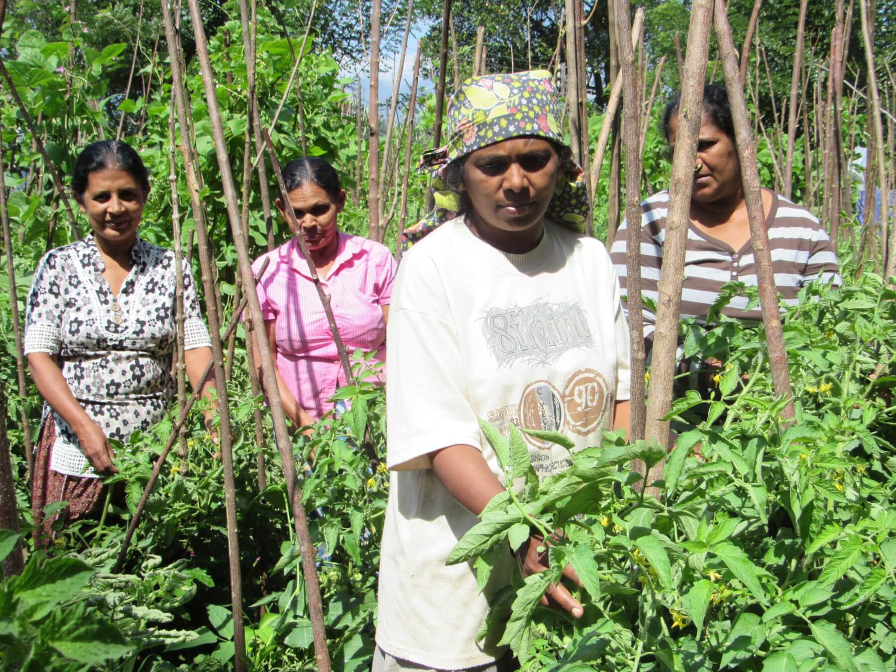 Training of women to organic farming in Sri Lanka © MONLAR