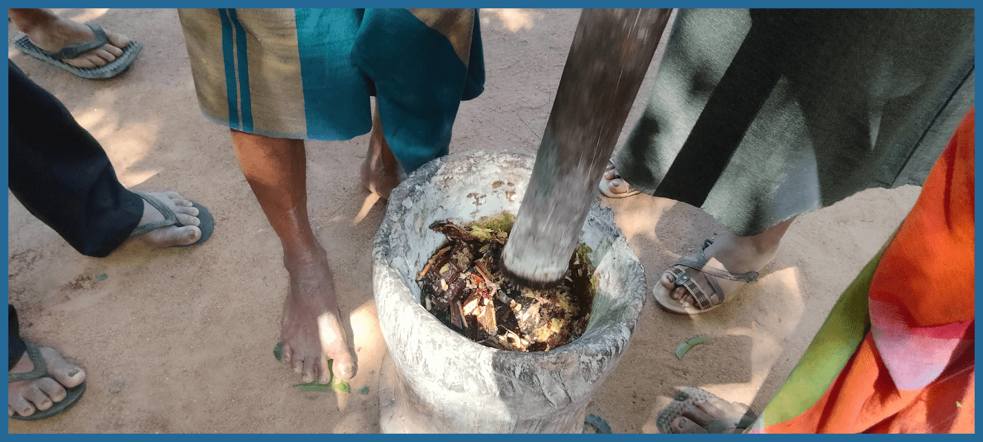 Grinding ingredients to make natural insecticides. © Renaissance Sri Lanka