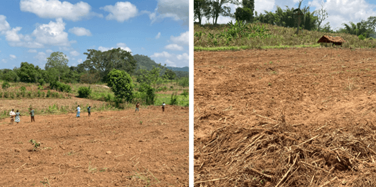 Farming lands of Ekiriyankumbura village in the Badulla district © MONLAR